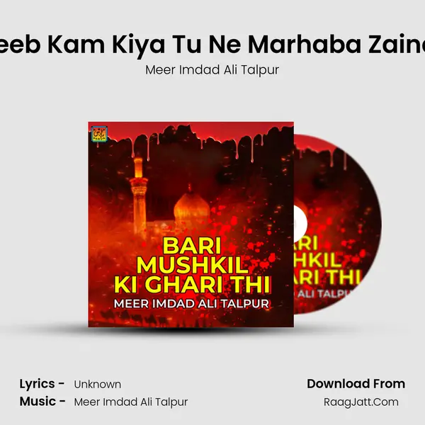 Ajeeb Kam Kiya Tu Ne Marhaba Zainab MP3 Song by Meer Imdad Ali Talpur Cover