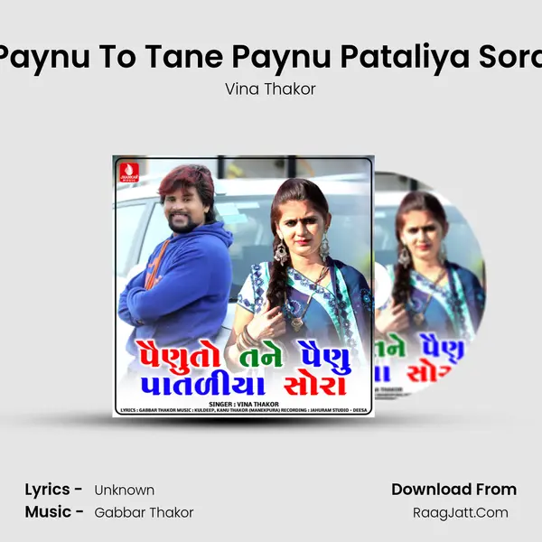 Paynu To Tane Paynu Pataliya Sora - Single - Vina Thakor