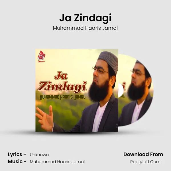 Ja Zindagi - Single - Muhammad Haaris Jamal
