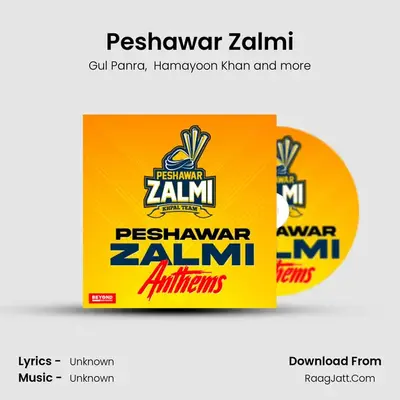 Peshawar Zalmi MP3 Song by Gul Panra Cover