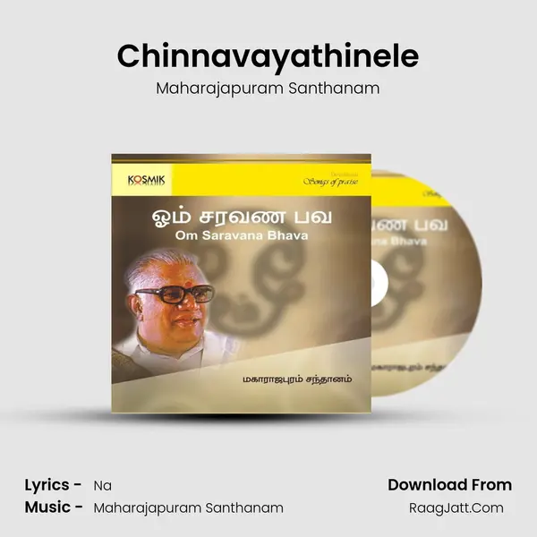Chinnavayathinele MP3 Song by Maharajapuram Santhanam Cover