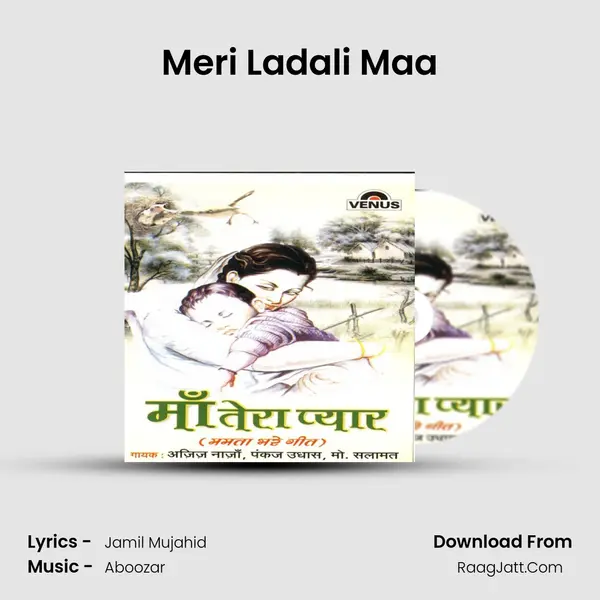 Meri Ladali Maa MP3 Song by  Cover