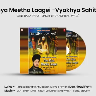Tera Kiya Meetha Laagei Part 1 - SANT BABA RANJIT SINGH JI (DHADHRIAN WALE)