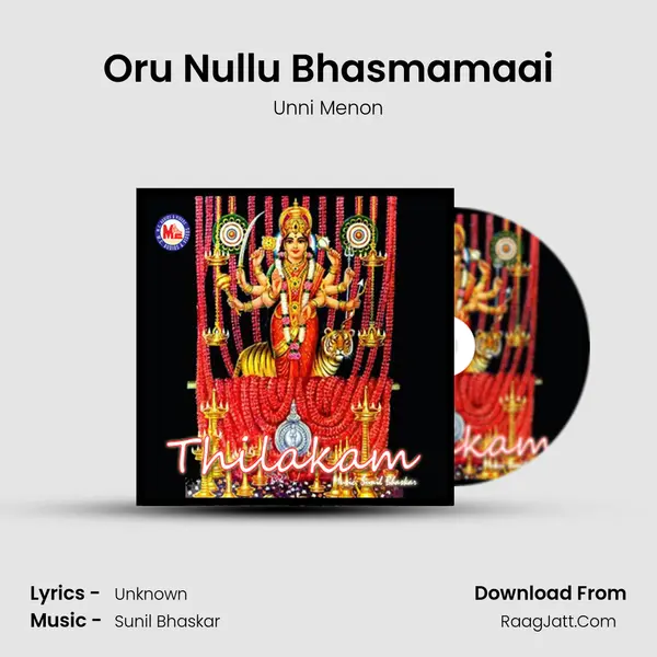 Oru Nullu Bhasmamaai MP3 Song by Unni Menon Cover