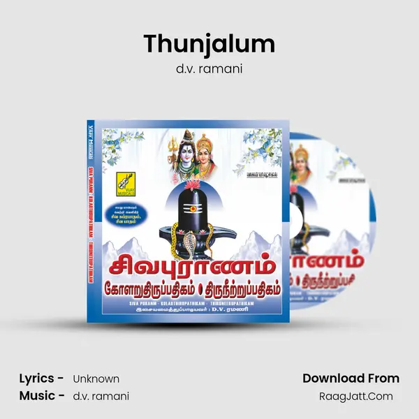 Thunjalum MP3 Song by d.v. ramani Cover