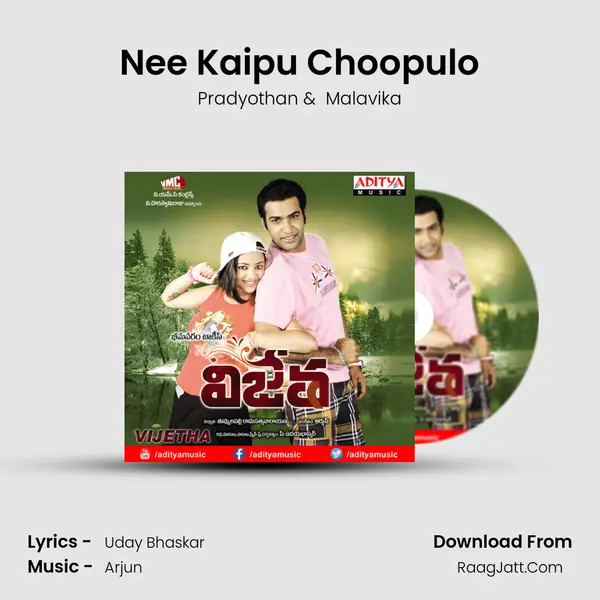Nee Kaipu Choopulo mp3 song
