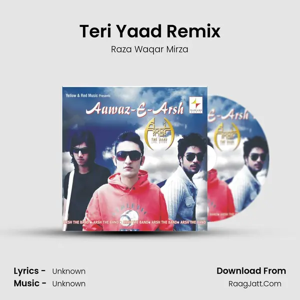 Teri Yaad Remix MP3 Song by Raza Waqar Mirza Cover