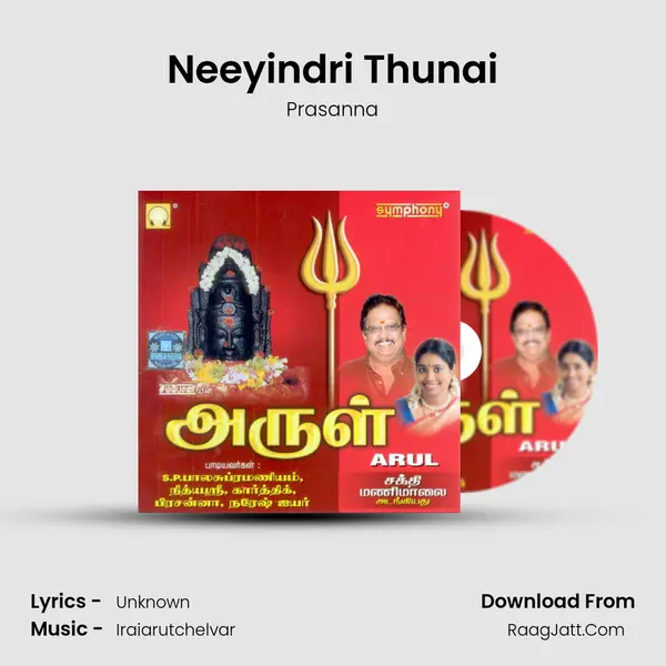 Neeyindri Thunai MP3 Song by Prasanna Cover