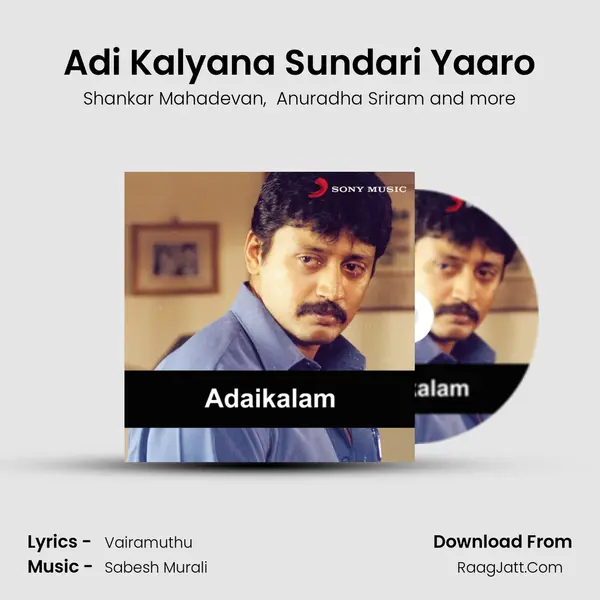 Adi Kalyana Sundari Yaaro MP3 Song by Shankar Mahadevan Cover