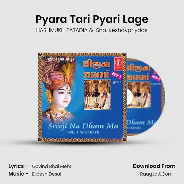 Pyara Tari Pyari Lage MP3 Song by HASHMUKH PATADIA Cover