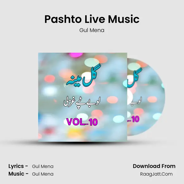 Pashto Live Music MP3 Song by Gul Mena Cover