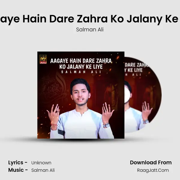 Aagaye Hain Dare Zahra Ko Jalany Ke Liye - Single - Salman Ali