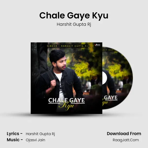 Chale Gaye Kyu mp3 song