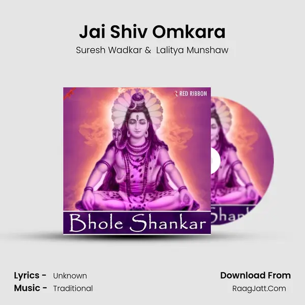 Jai Shiv Omkara Cover