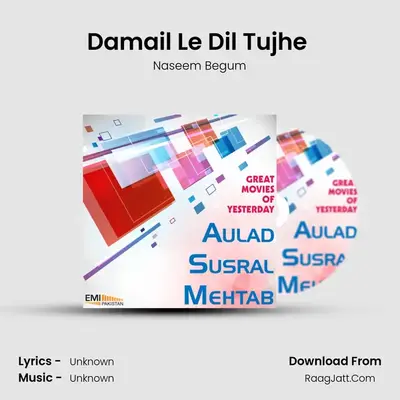 Damail Le Dil Tujhe (from 