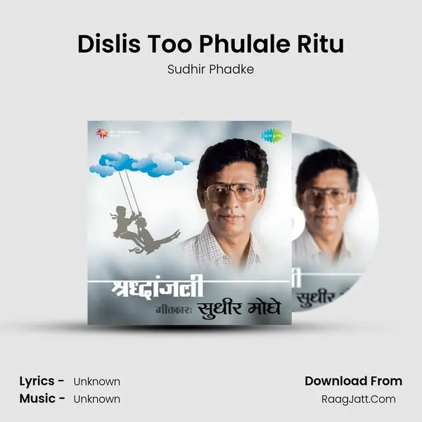 Dislis Too Phulale Ritu Cover