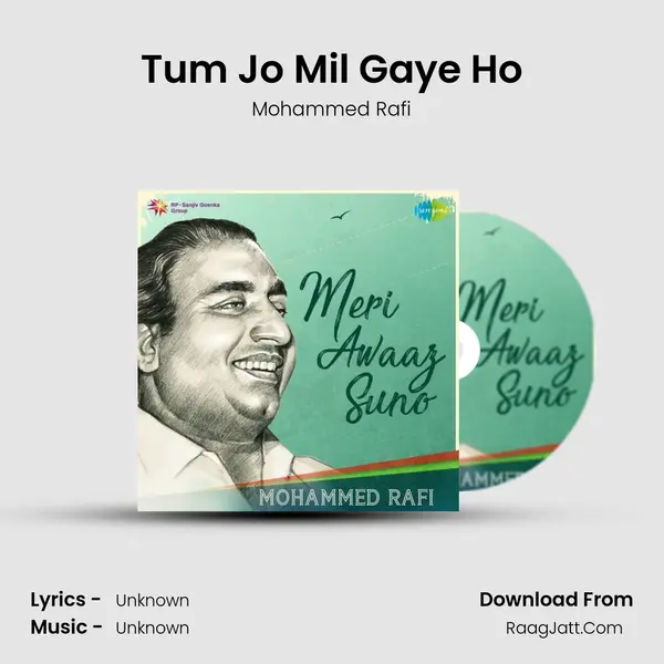 Tum Jo Mil Gaye Ho Cover