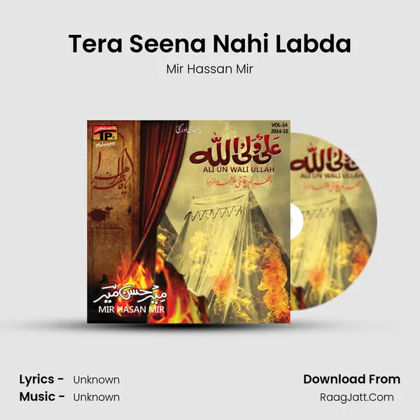 Tera Seena Nahi Labda MP3 Song by Mir Hassan Mir Cover