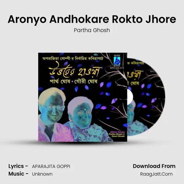 Aronyo Andhokare Rokto Jhore MP3 Song by Partha Ghosh Cover