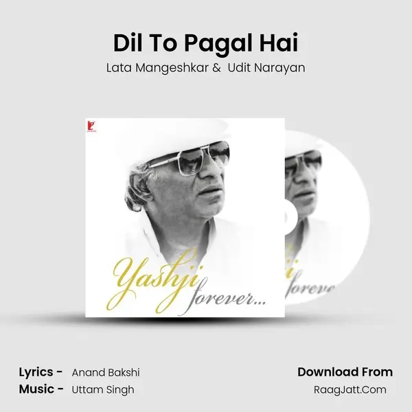 Dil To Pagal Hai Cover