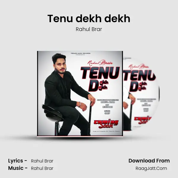 Tenu dekh dekh MP3 Song by Rahul Brar Cover
