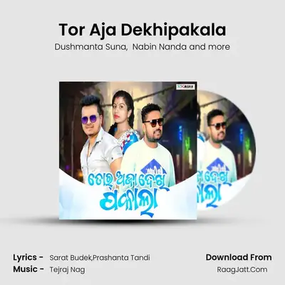 Tor Aja Dekhipakala MP3 Song by Dushmanta Suna Cover