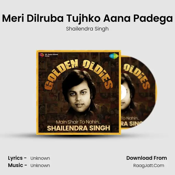 Meri Dilruba Tujhko Aana Padega Cover