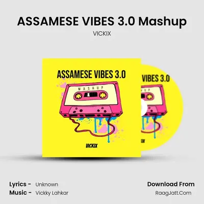 ASSAMESE VIBES 3.0 Mashup - VICKIX