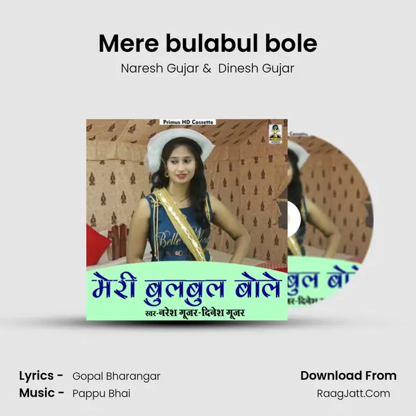 Mere bulabul bole MP3 Song by Naresh Gujar Cover