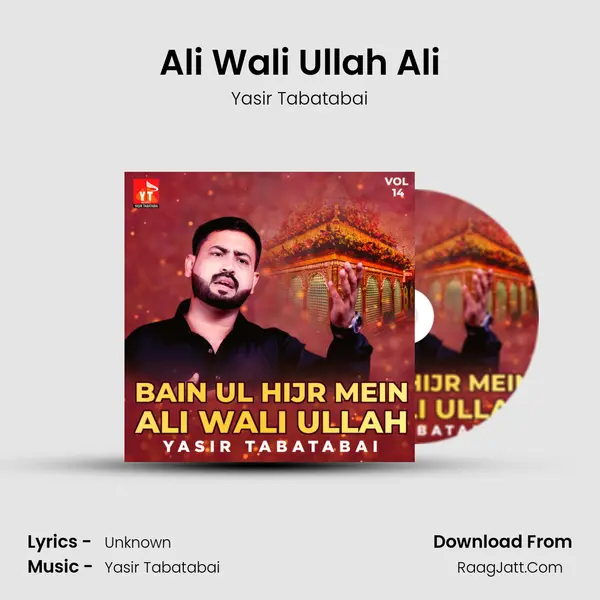 Ali Wali Ullah Ali MP3 Song by Yasir Tabatabai Cover