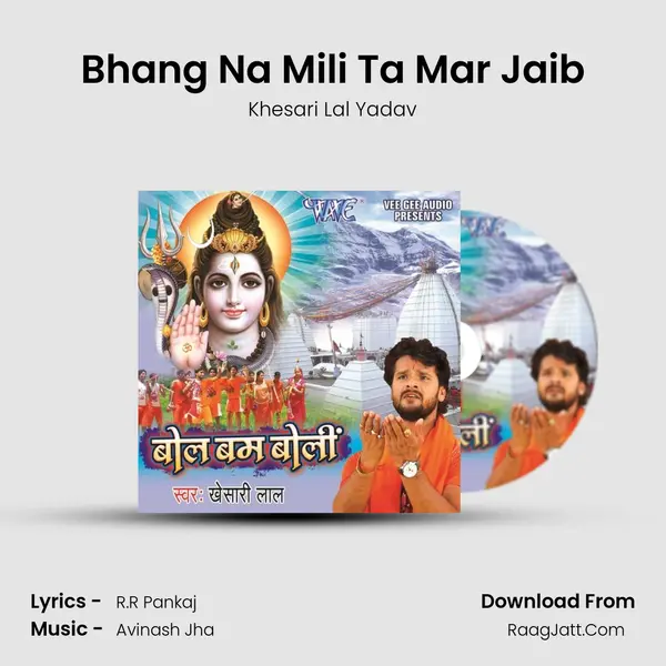 Bhang Na Mili Ta Mar Jaib MP3 Song by Khesari Lal Yadav Cover