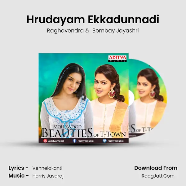 Hrudayam Ekkadunnadi Cover
