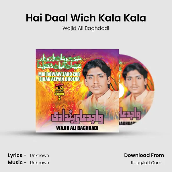 Hai Daal Wich Kala Kala MP3 Song by Wajid Ali Baghdadi Cover