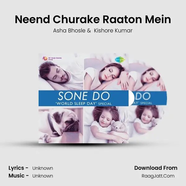 Neend Churake Raaton Mein Cover