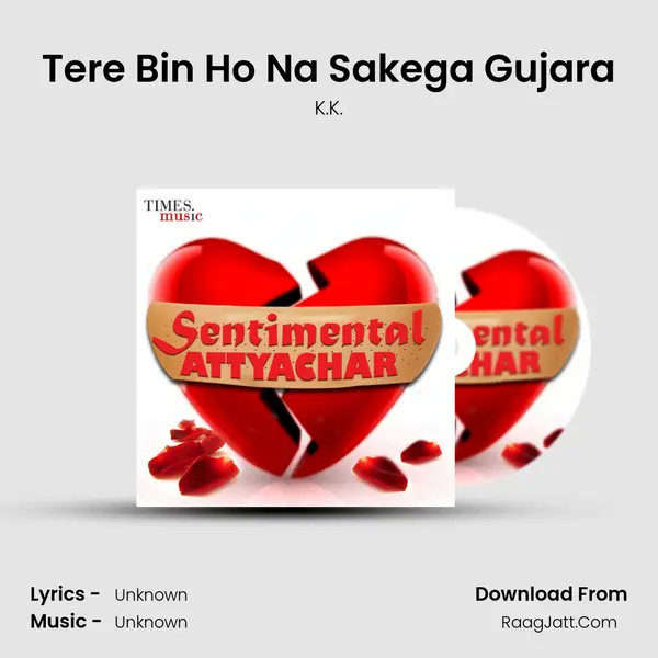 Tere Bin Ho Na Sakega Gujara Cover