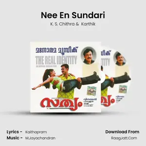 Nee En Sundari Cover