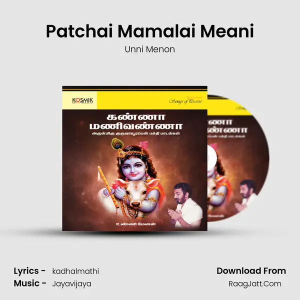 Patchai Mamalai Meani MP3 Song by Unni Menon Cover