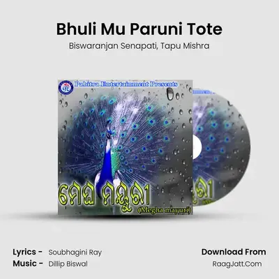 Bhuli Mu Paruni Tote MP3 Song by Biswaranjan Senapati Cover