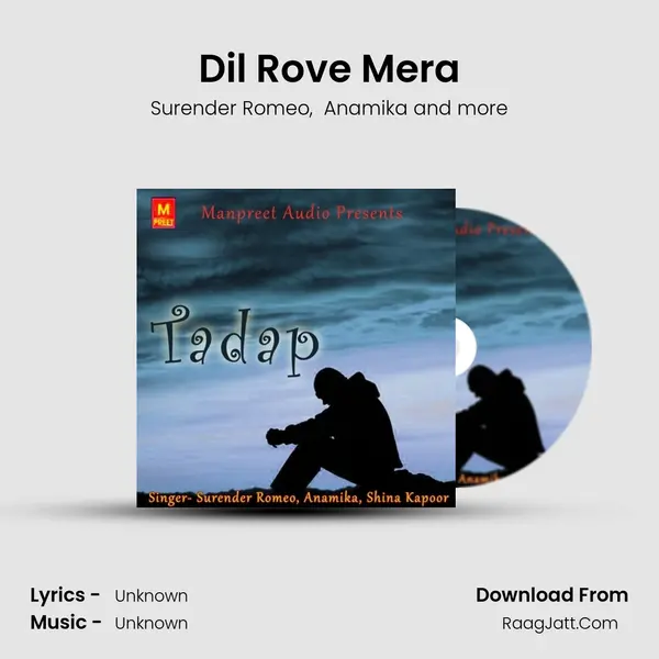 Dil Rove Mera MP3 Song by Surender Romeo Cover