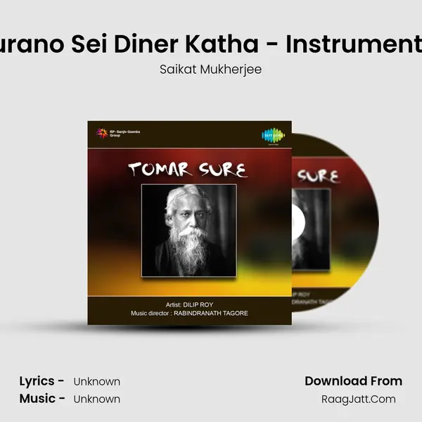 Purano Sei Diner Katha - Instrumental MP3 Song by Saikat Mukherjee Cover