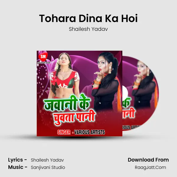 Tohara Dina Ka Hoi MP3 Song by Shailesh Yadav Cover