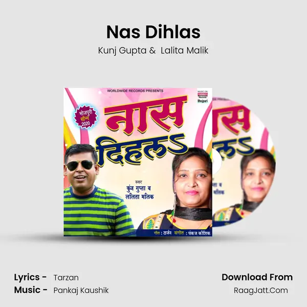 Nas Dihlas MP3 Song by Kunj Gupta Cover