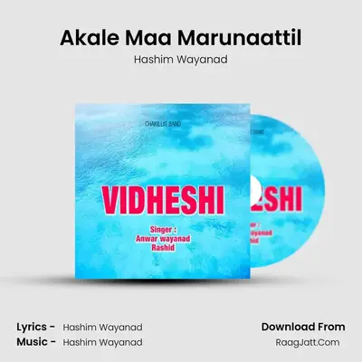 Akale Maa Marunaattil MP3 Song by Hashim Wayanad Cover