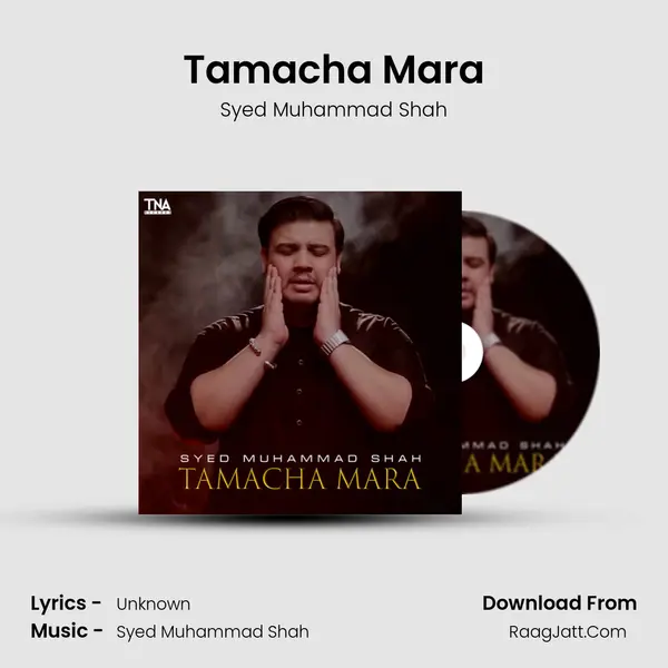 Tamacha Mara - Single - Syed Muhammad Shah