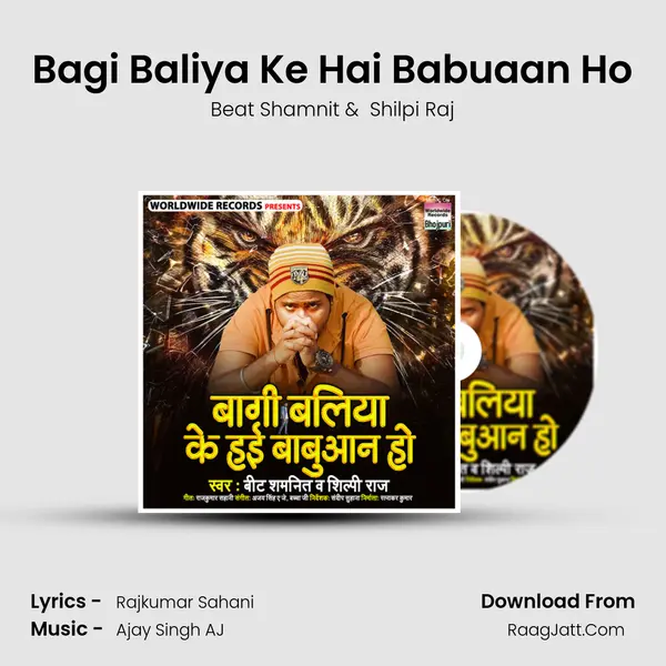 Bagi Baliya Ke Hai Babuaan Ho MP3 Song by Beat Shamnit Cover