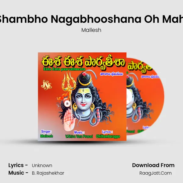Shiva Shambho Nagabhooshana Oh Mahadeva MP3 Song by Mallesh Cover