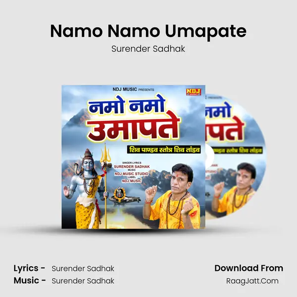 Namo Namo Umapate - Surender Sadhak