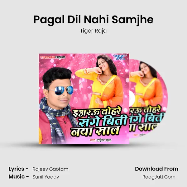Pagal Dil Nahi Samjhe MP3 Song by Tiger Raja Cover