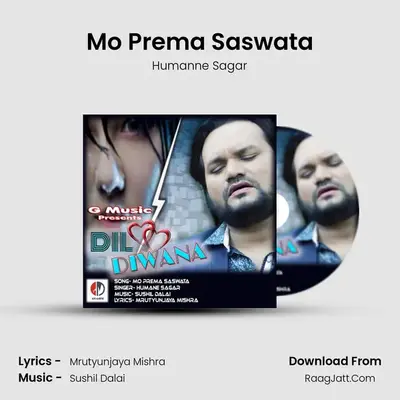 Dil Diwana - Humanne Sagar
