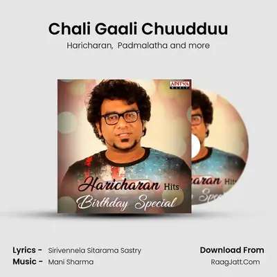 Chali Gaali Chuudduu MP3 Song by Haricharan Cover
